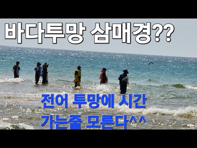 이고지고 전어 투망에 시간 가는줄 모르고 투망 삼매경에 빠진다#fishing #catch #cast #바다