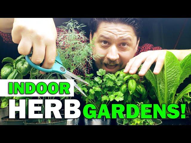 Indoor Herb Gardens - The Definitive Guide For Beginners