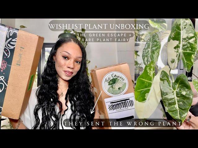  The Green Escape + Rare Plant Fairy Unboxing | Wishlist Plant Mail | Plant Haul Houseplant 2024