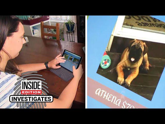 Tips for Spotting Scams When Purchasing Puppies Online