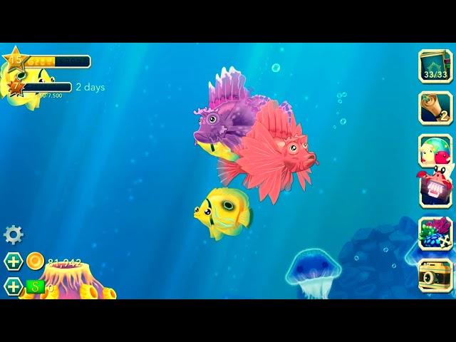 Splash:Ocean Sanctuary Gameplay