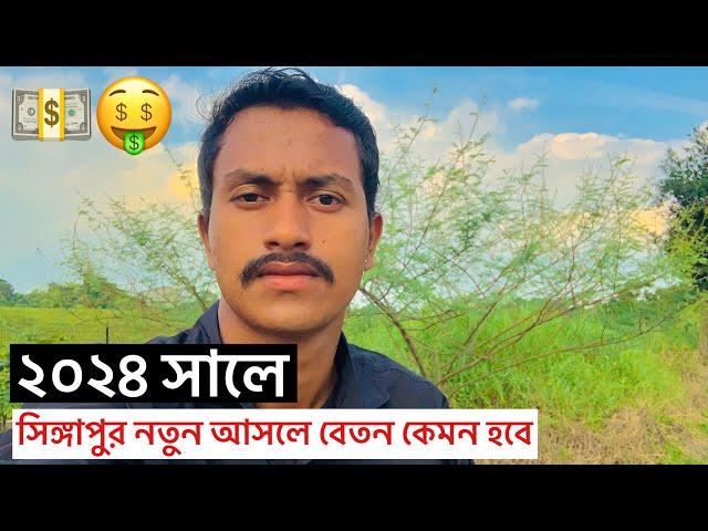 সিঙ্গাপুরে নতুন লোক আসলে বেতন কেমন হবেTasin Joy