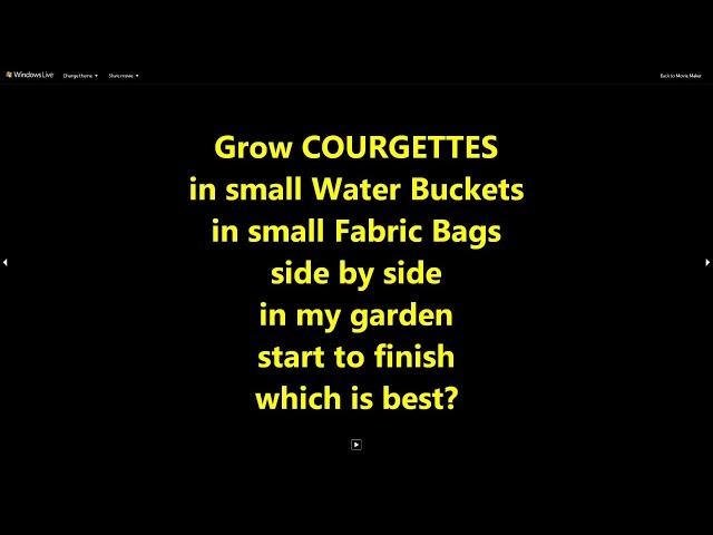 Grow Courgettis /zucchini in small Buckets & small Fabric Bags side by side.  Which is best