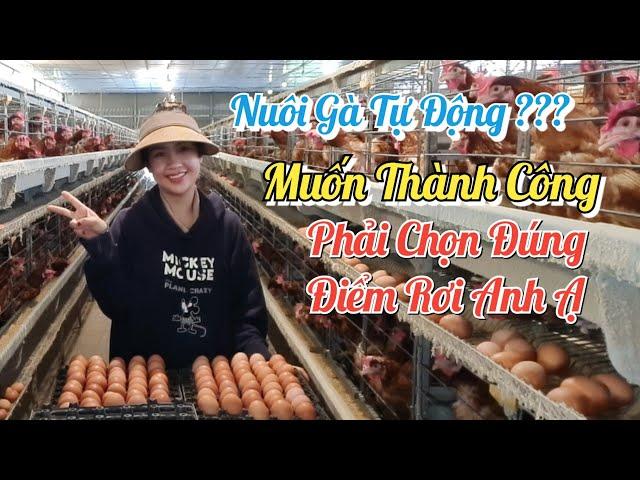 Mô Hình Dọn Phân Gà Tự Động | Khởi Nghiệp TV