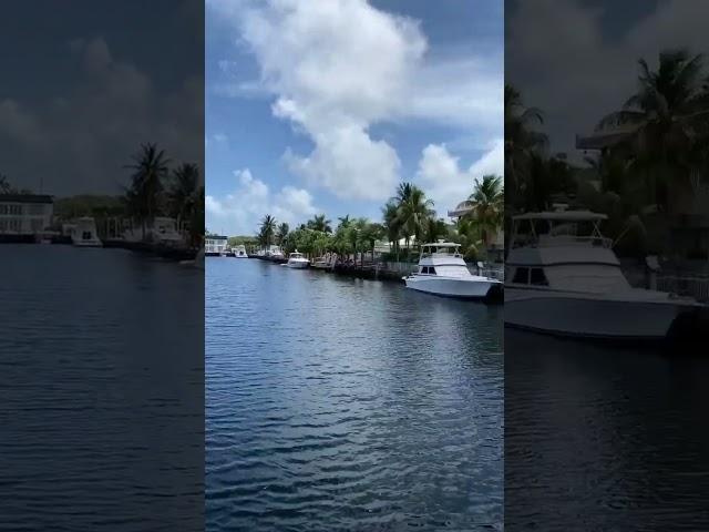 Waterfront living in Miami