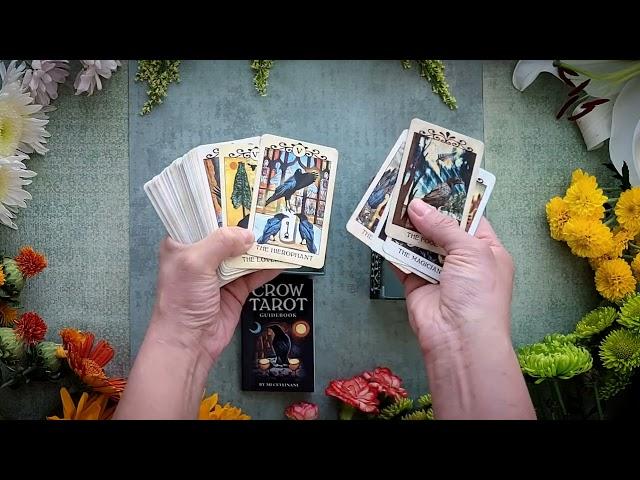 Crow Tarot Pocket Edition Unboxing