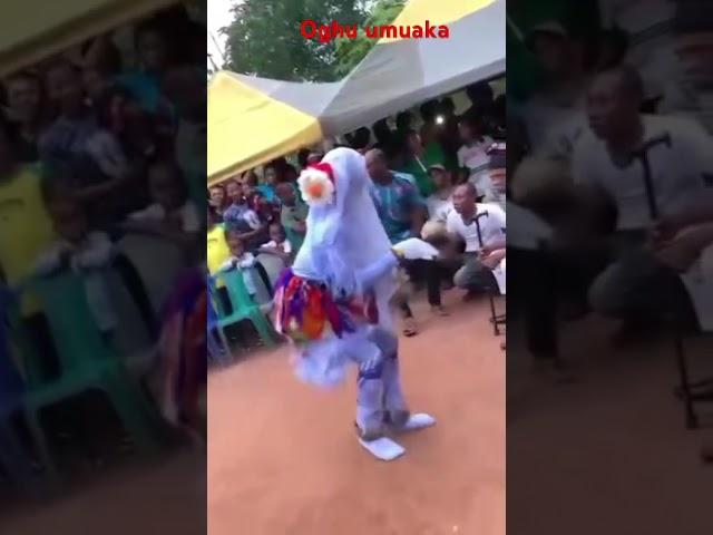 Oghu umuaka