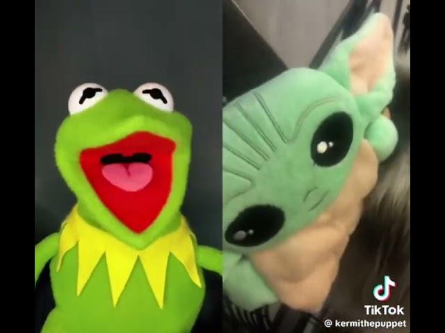 Random Kermit TikTok videos of Summer 2024