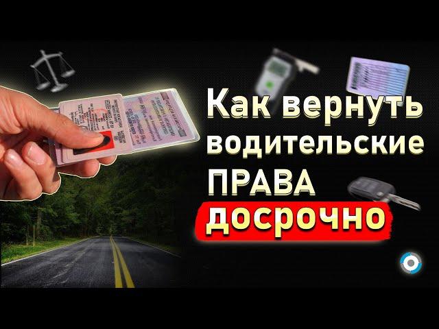 Как вернуть права после лишения: два способа от автоюриста по возврату водительских прав