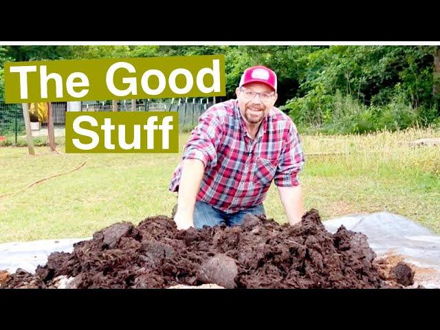 The Best Super Soil for Raised Bed Gardens