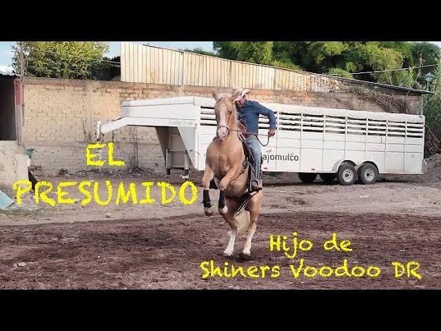 EL PRESUMIDO y Juan Ramos - Potro 2022 hijo de Shiners Voodoo DR propiedad de Rancho Del Cielo