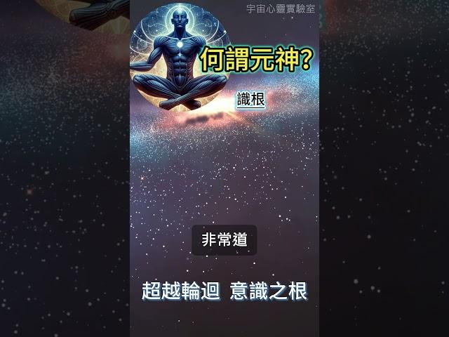 何謂元神？識根：超越輪迴 意識之根 #開悟 #覺醒 #靈性成長
