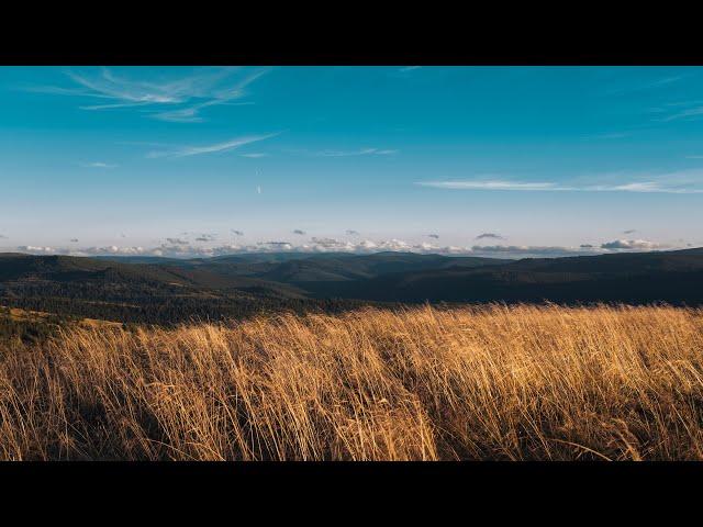 Національний природний парк "Верховинський" / Село Пробійнівка (4к)