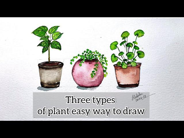 How to paint different types of simple plant | Three types of plant watercolour painting tutorial