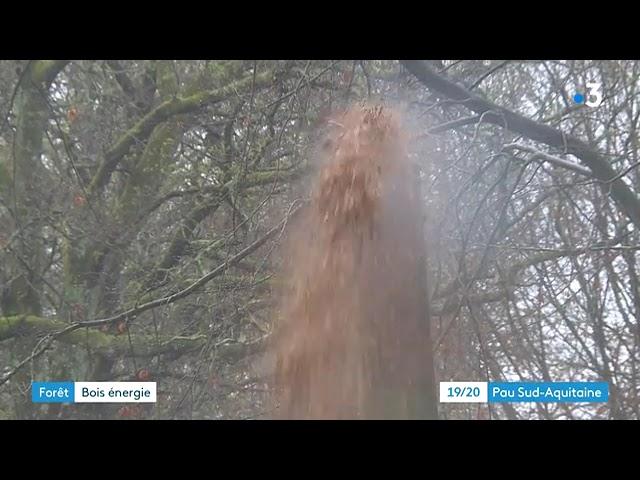 Béarn: l'Office national des forêts (ONF) se lance dans le bois énergie