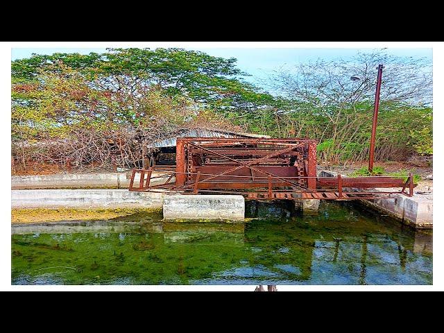 The FORGOTTEN Sugar Mill & OLD River Bulk Warehouses || where in Jamaica is this?