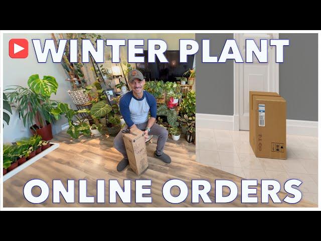 Rare Plant Delivery: Ordering Plants Online Safely ️🪴