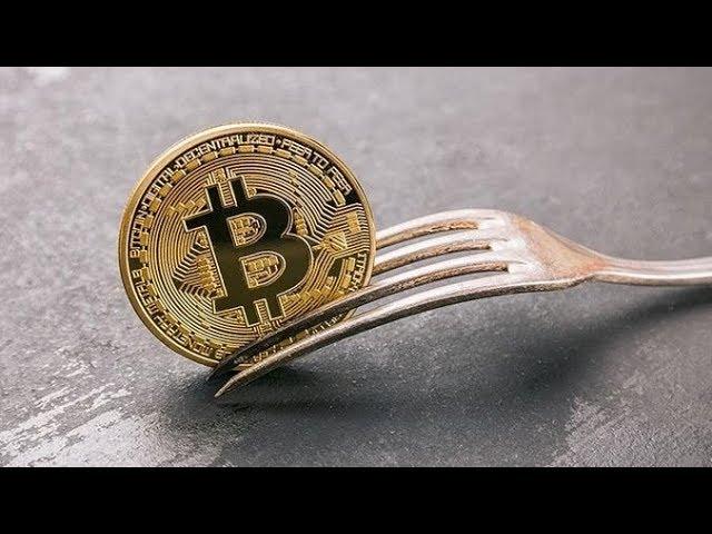 Bitcoin Soft Fork, When Is AltSeason?, Bitcoin Outperforms & Owning 25,000 BTC