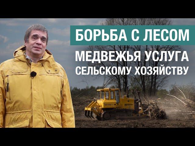 Как борьба с лесом на сельхозземлях провоцирует запустение земель в Нечерноземье