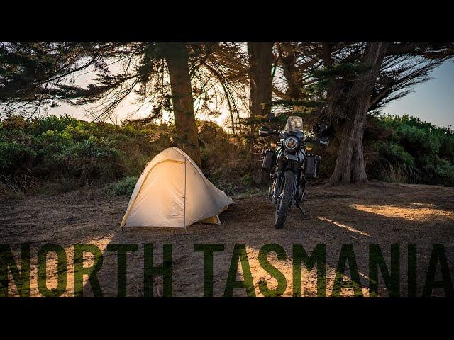 The last day on the island, solo motorbike camping Tasmania on a Royal Enfield - S1-E13