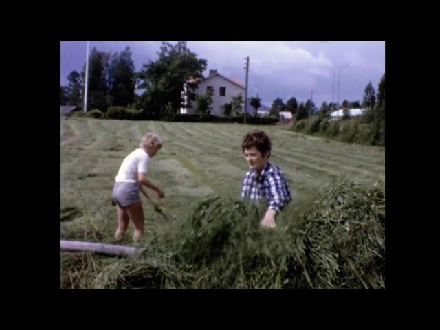 Höbärgning i Bjurholm sommaren 1966