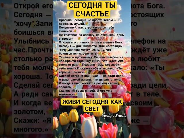 ЖИВИ СЕГОДНЯ КАК СВЕТ#осознанность #просветление #душа #вселенная #счастье #успех  #любовь #топ