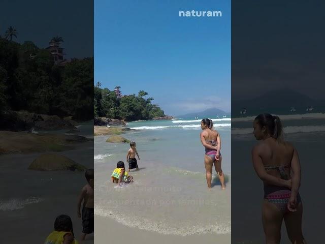 Praia do Tenório Ubatuba #shorts