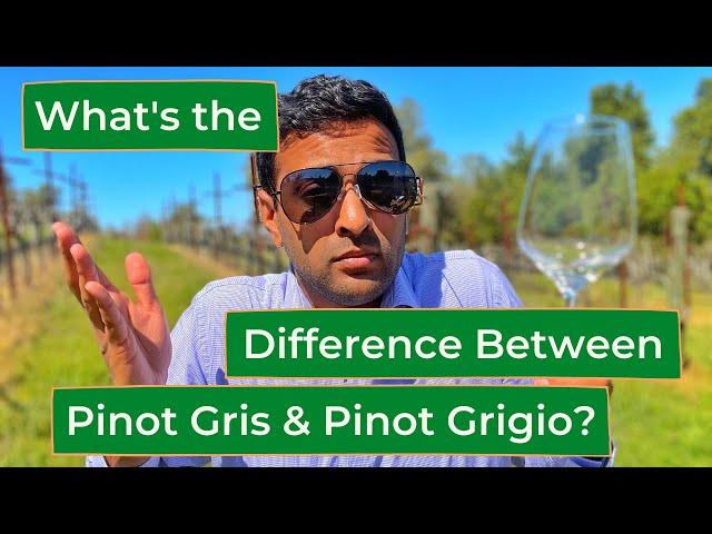 What is the Difference Between Pinot Gris & Pinot Grigio?