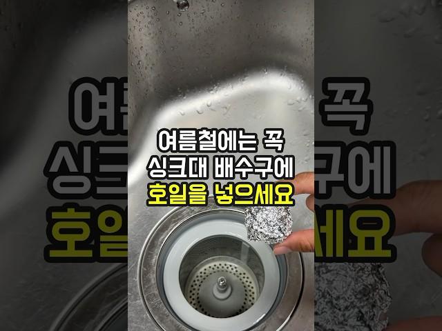 여름철에는 꼭 주방배수구에 호일볼을 넣어두세요