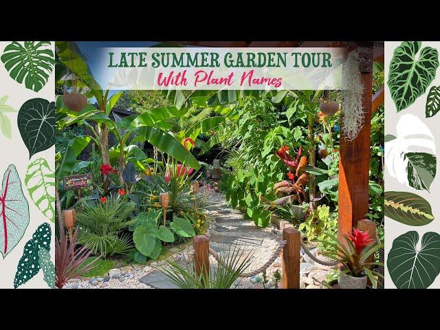 Summer Garden Tour  Day & Night  With Plant Names 