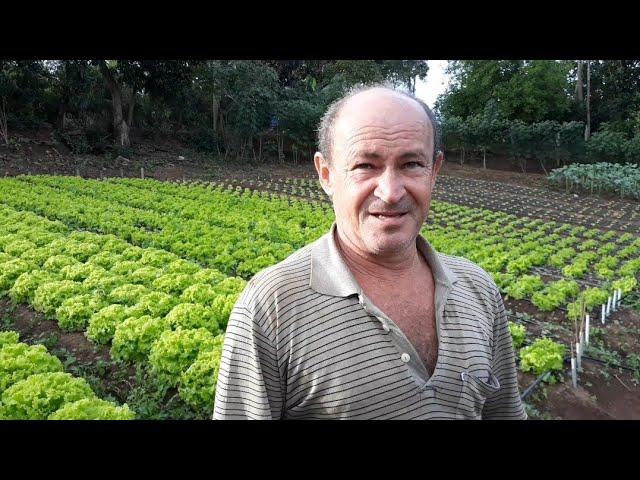 Horta de verduras do senhor moacir