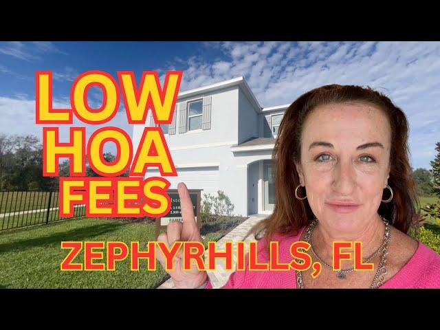 ZEPHYRHILLS HOMES FOR SALE  Two Rivers is the place to be!