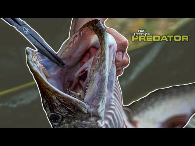 FLOAT FISHING DEADBAITS FOR PIKE | Pike Handling and Rig Setup!