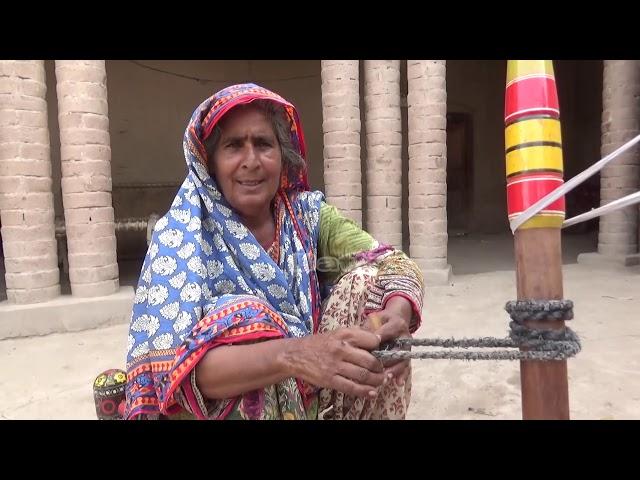 How To Make Butter and Lassi in Village | Traditional Style Village Life | Abdul Majeed Batti