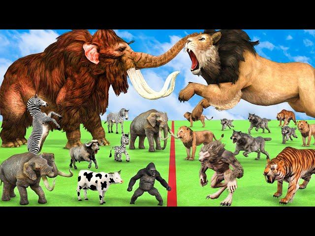 Giant Mammoth Elephants vs Zombie Wolf vs 5 Giant Lion Tiger Attack Baby Zebra Cow Buffalo Gorilla