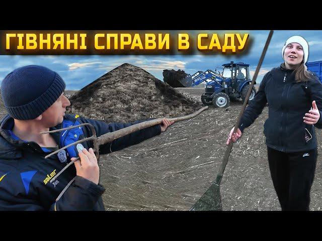 Посадив сад на свою голову! Тепер з нього не вилазим! Підживлення яблунь кізяком
