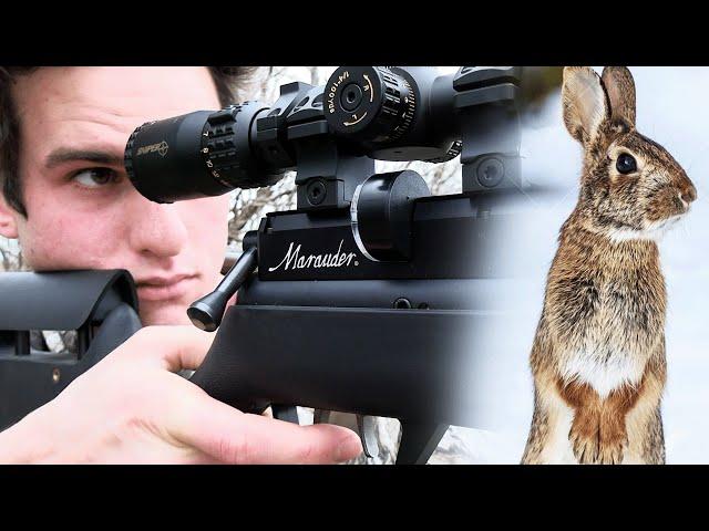 Rabbit Hunting with .25 Air Rifle (Scope Cam!)