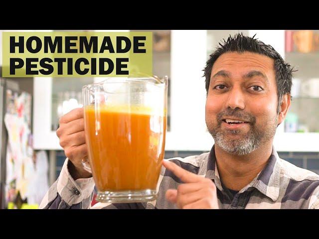 Turn Kitchen Scraps into Homemade Organic Pesticide