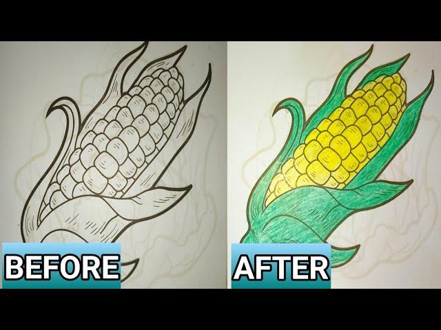 Corn Coloring Art – A Stunning Before & After Transformation