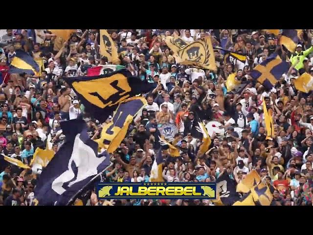 La REBEL en el Pumas (2-0) Pachuca Apertura 2024