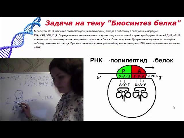 Подготовка к ЕГЭ по биологии. Задача на тему : "Биосинтез белка" № 6. Антипараллельность