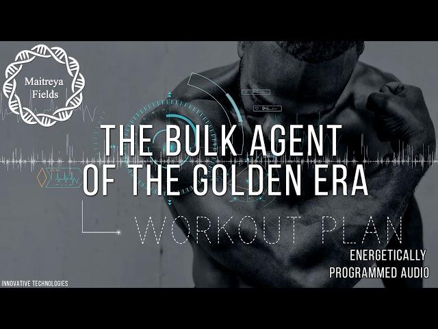 The Bulk agent of the Golden Era - EXPERIMENTAL / Maitreya Reiki™