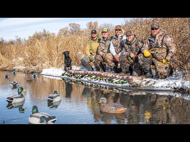 Hunting Mallards on TINY Creek in Wyoming with 20 Gauges (Must See!)