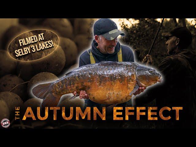 ***CARP FISHING IN AUTUMN!*** THE AUTUMN EFFECT | DNA BAITS | SIMON CROW | SELBY 3 LAKES