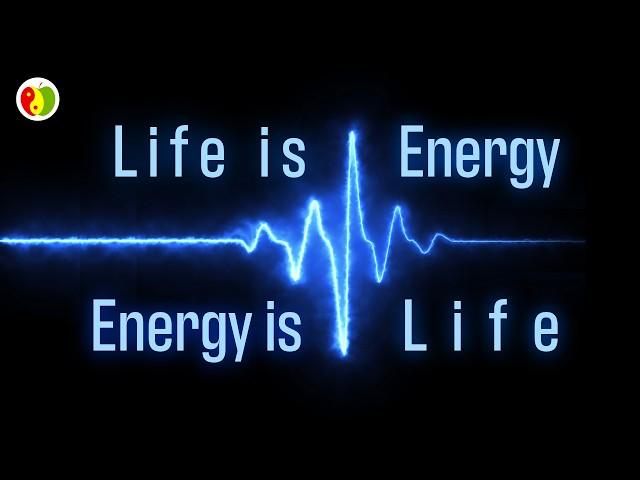 Life is Energy & Energy is Life - Axay Shah ~ Raw Food Guru