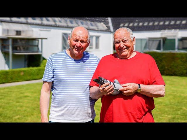 Vandenheede Freddy & Jacques: Racing Pigeon Champions -1st, 2nd, 3rd,  NatChateauroux (15,060 Birds)