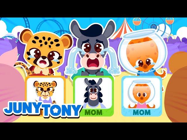 Baby Animals Got Lost | Where is Your Mommy? | +More Kids Songs | Cartoon | JunyTony