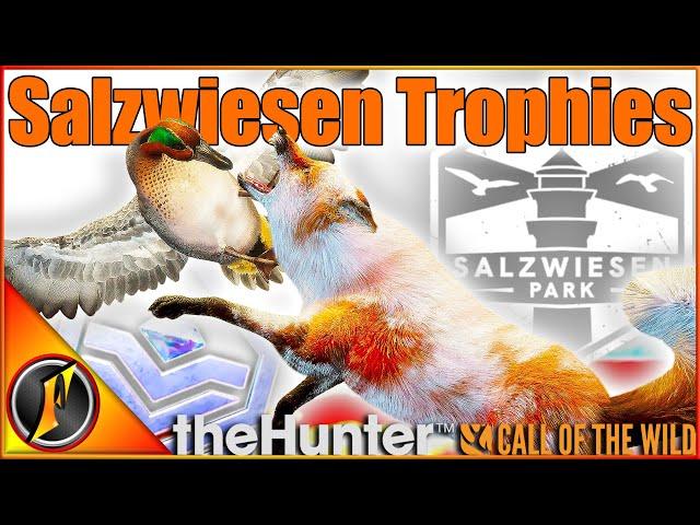 Piebald Red Fox & Diamond Teal! | Salzwiesen Park on Call of the Wild