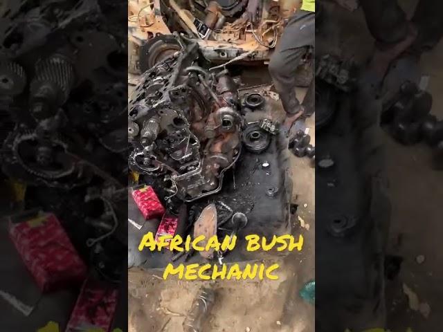 African Bush Mechanic