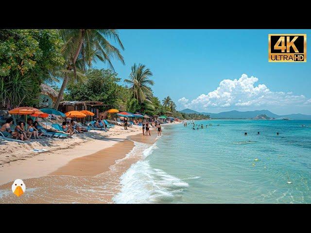 Sanya, Hainan China's Southernmost Coastal Tropical City (4K UHD)